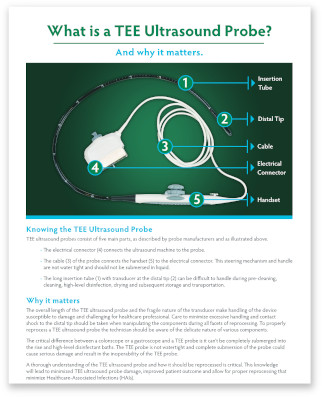 What is a TEE Ultrasound Probe